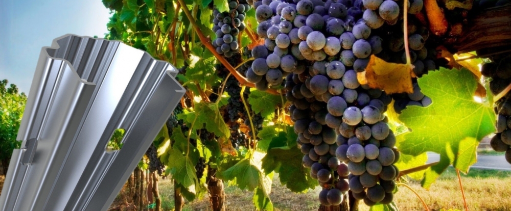 La nosta Azienda - Pali e Accessori per Vigneti
